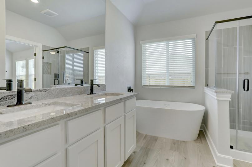 Master bathroom with two sinks, a soaking tub, and walk-in shower.