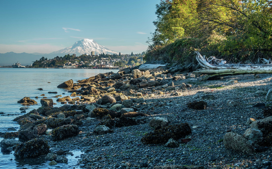 Tacoma, Washington Mount Rainier from Ruston with rocky beach, overgrown trees, and cold water