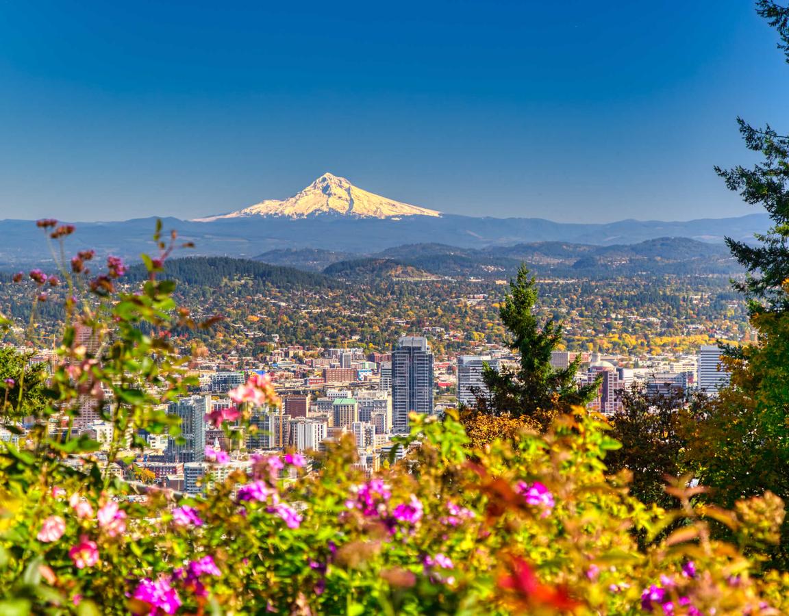 Portland, Oregon skyline showing lush flowering plants, skyscraper buildings, and Mt. Hood in the distance