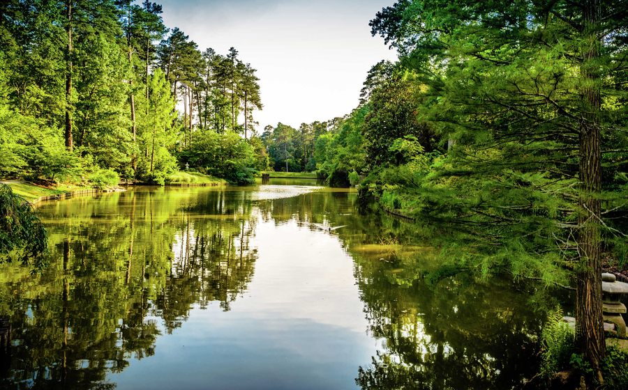 Raleigh, North Carolina lake near Duke University with lush trees lining the banks and calm waters