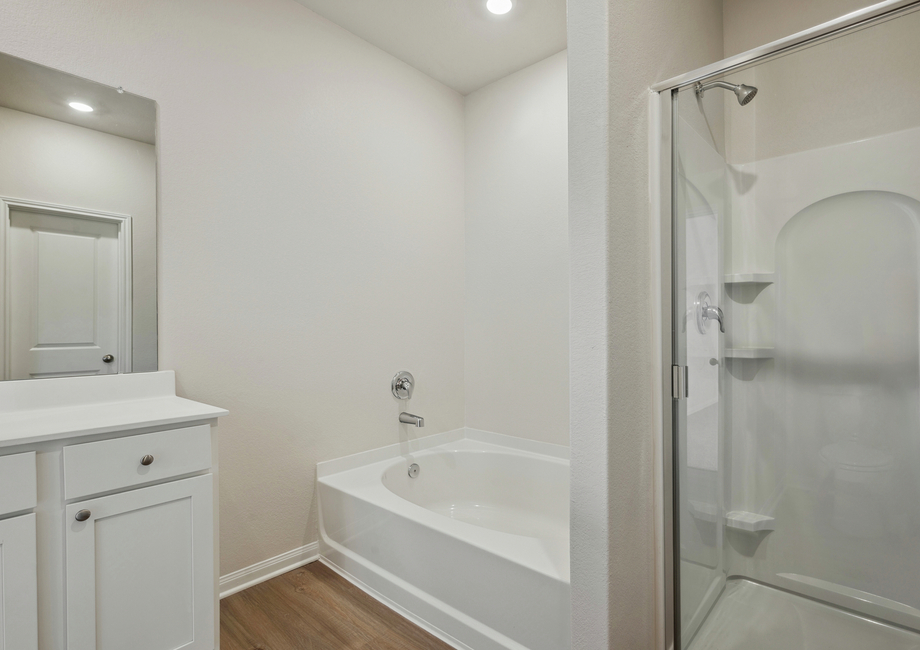 Step-in shower and tub in the master bathroom 