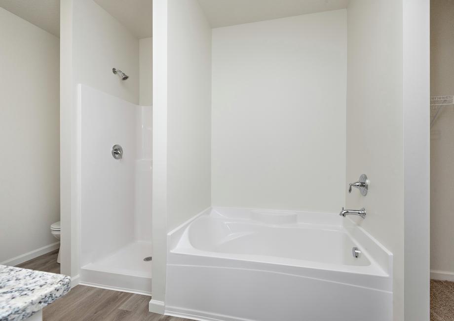 The master bathroom has soaking tub and step in shower. 