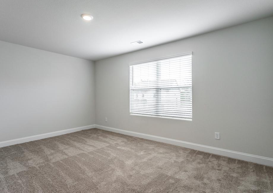 Secondary bedroom with carpet and a large window.