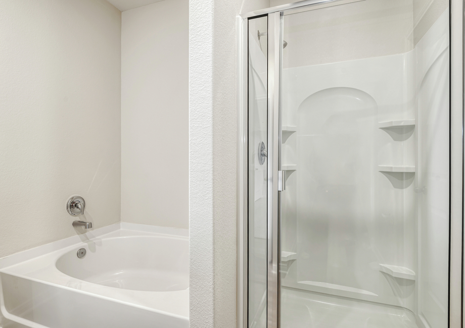 A step-in shower and soaker tub in the dining room