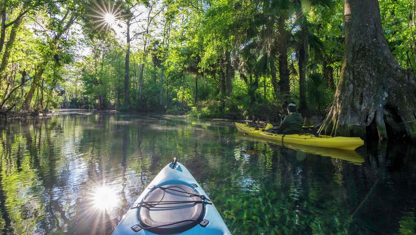 Silver River at Silver Springs State Park kayakers moving along the calm waters covered in overgrown lush trees