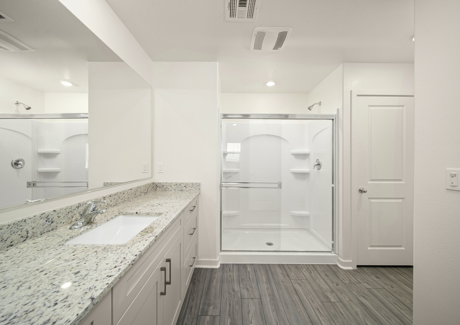 The master bathroom has a step in shower and large vanity.