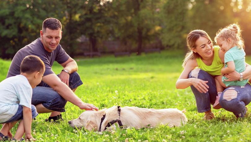 Family playing with dog