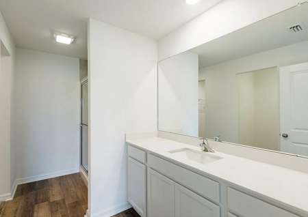 Full master bathroom with large countertop space, a step-in shower and a walk-in closet.