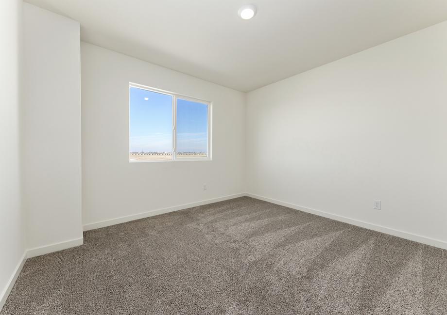 The secondary bedrooms have carpet. 