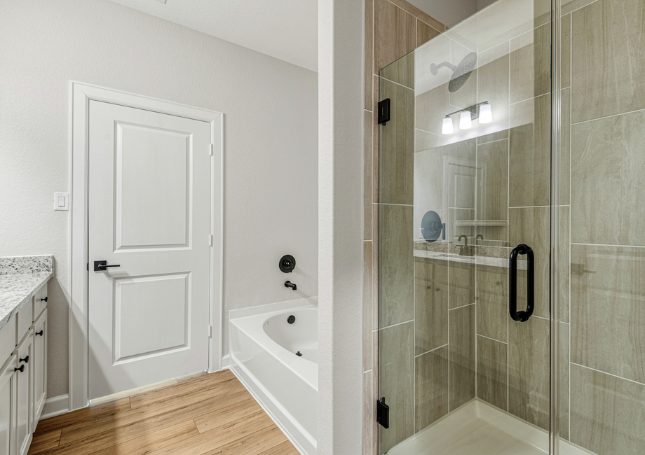 A soaker tub and step-in shower in the master bathroom