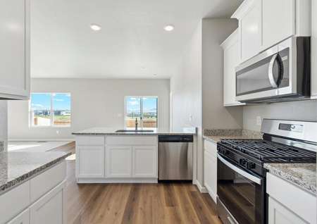 The kitchen has stainless steel appliances and plank flooring