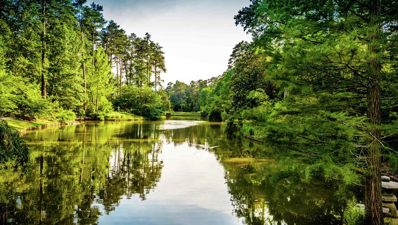 Raleigh, North Carolina lake near Duke University with lush trees lining the banks and calm waters