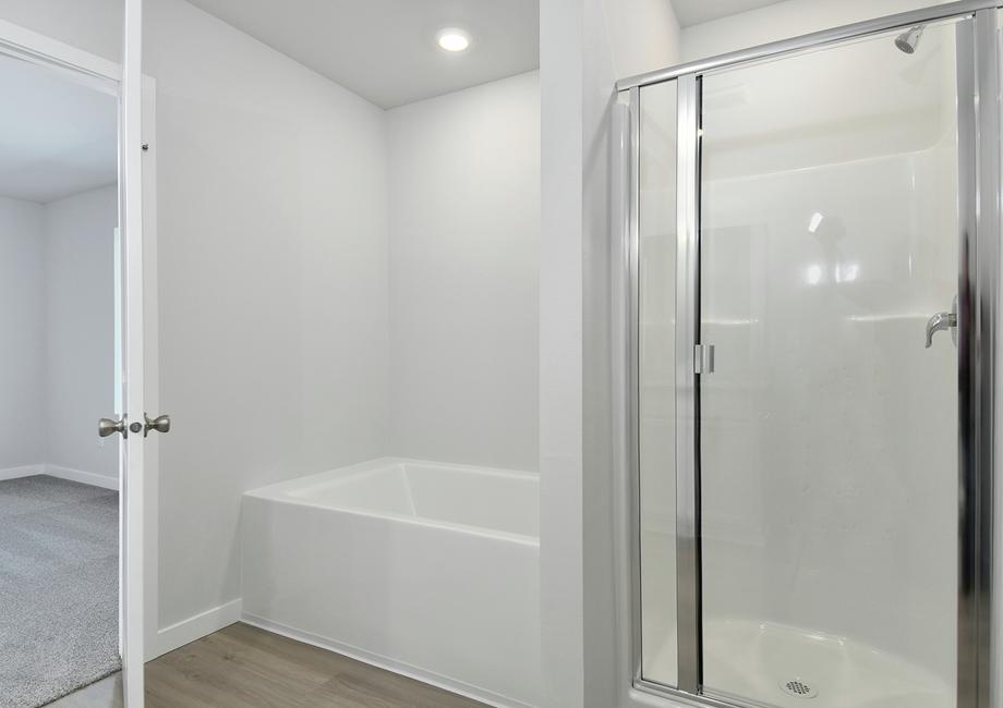 The master bathroom has a step in shower and soaking tub.