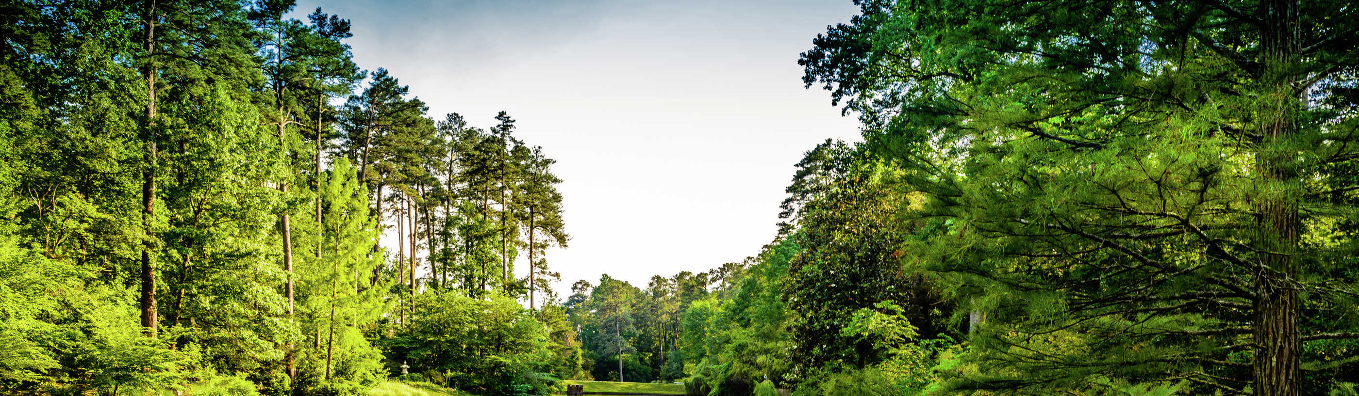 Raleigh, North Carolina lake near Duke University with lush trees lining the banks and calm waters