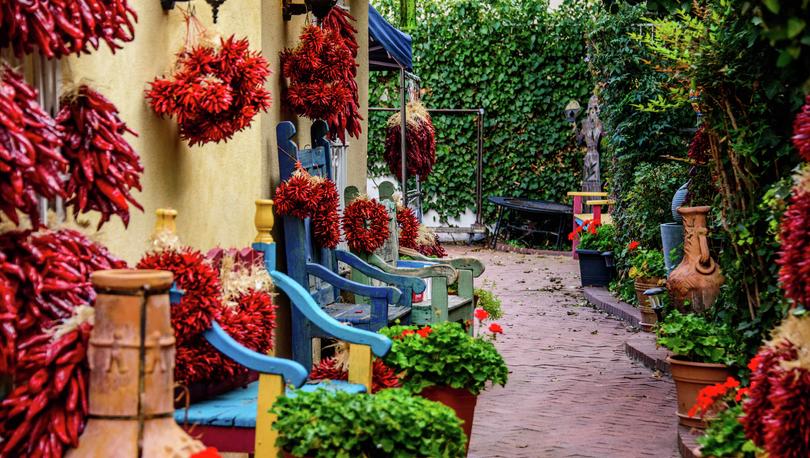 Peppers and Benches in Old Town Albuquerque, New Mexico.