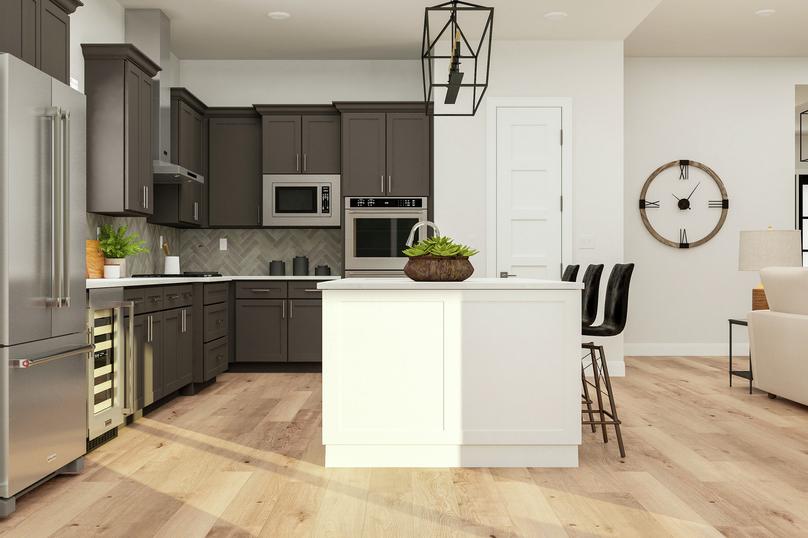 Rendering of the kitchen, which has a
  large island, wine fridge, gas range hood and pantry. It is decorated with a  chandelier, clock and succulent plants.