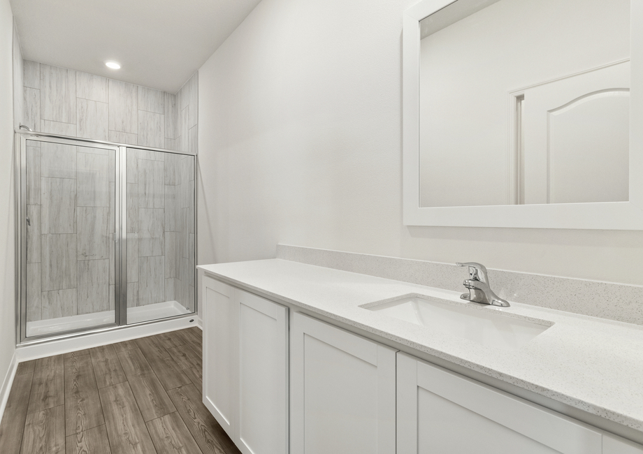 Spacious vanity and step-in shower in the master bathroom
