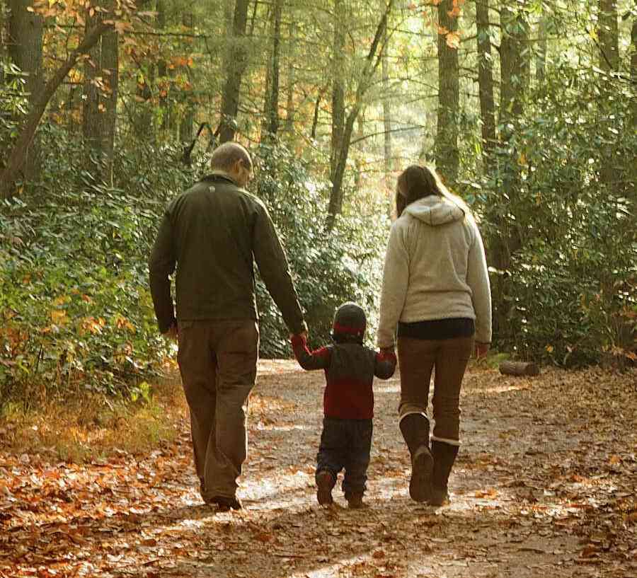 Family walking in forest at sunset