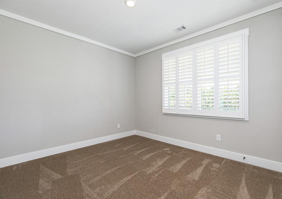 Secondary bedroom with a window and carpet.