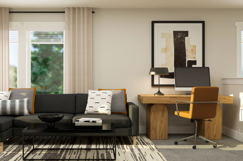 Flex room with sofa and computer.