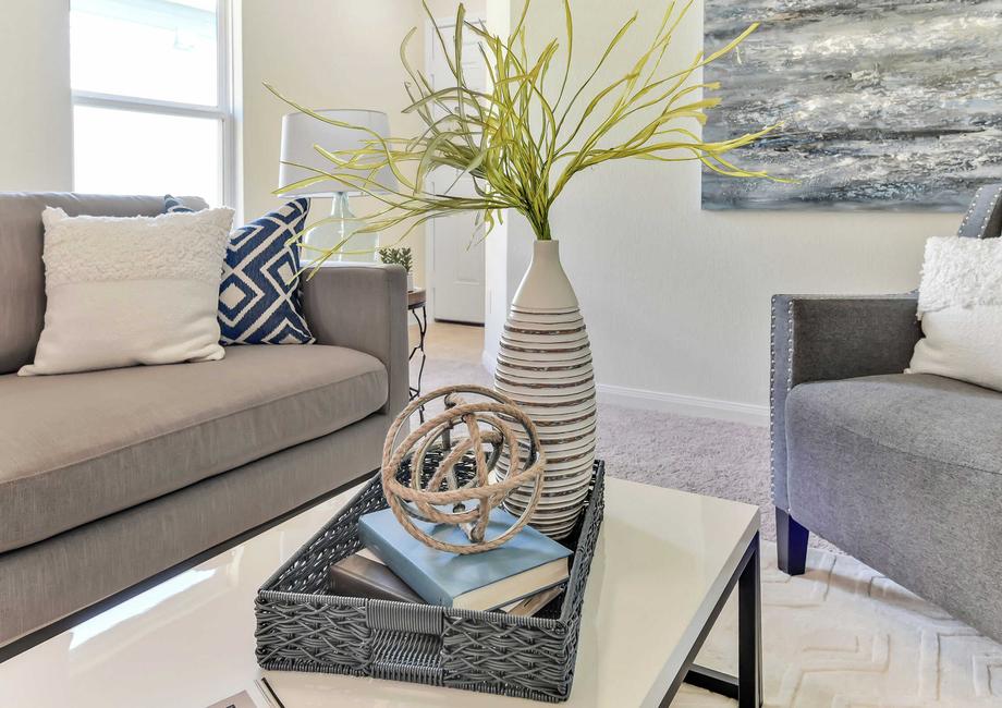 Living room with a sofa, gray chair and white top coffee table with plant and ornaments.