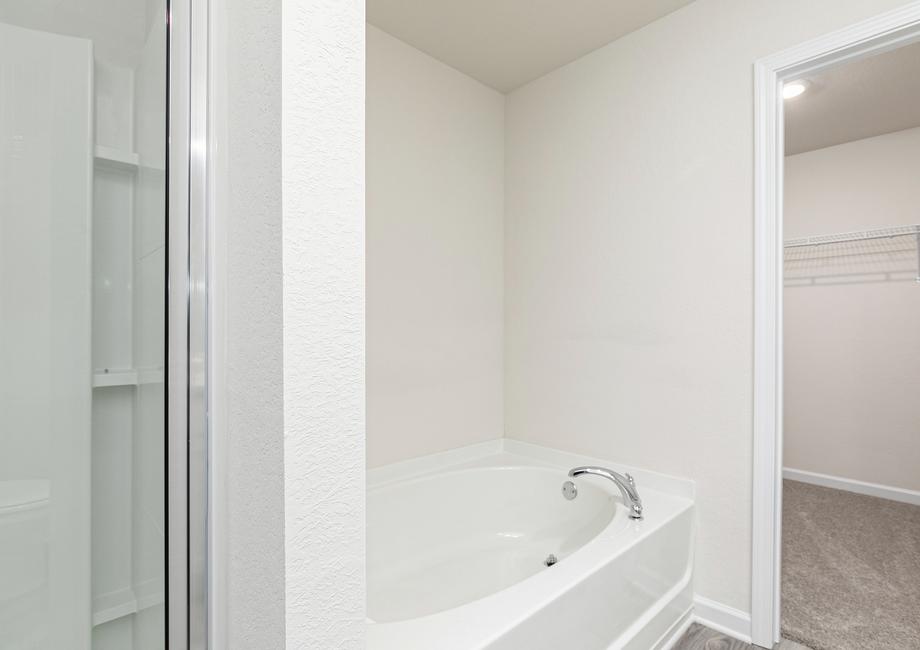 The master bathroom includes a separate walk-in shower and bathtub