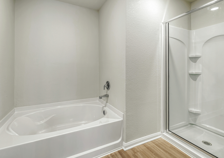 A step-in shower and serapate tub in the master bathroom