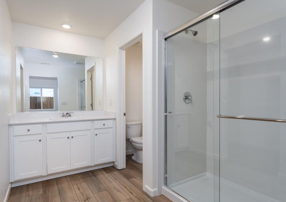 The master bathroom has a step in shower and large vanity.