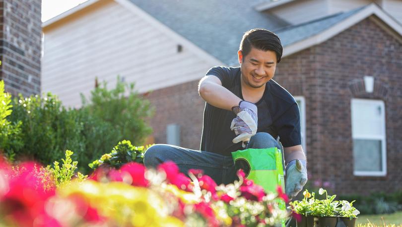 Man sprucing up his front flower beds by planting new flowers.