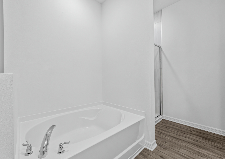 A soaker tub and step-in shower in the master bathroom