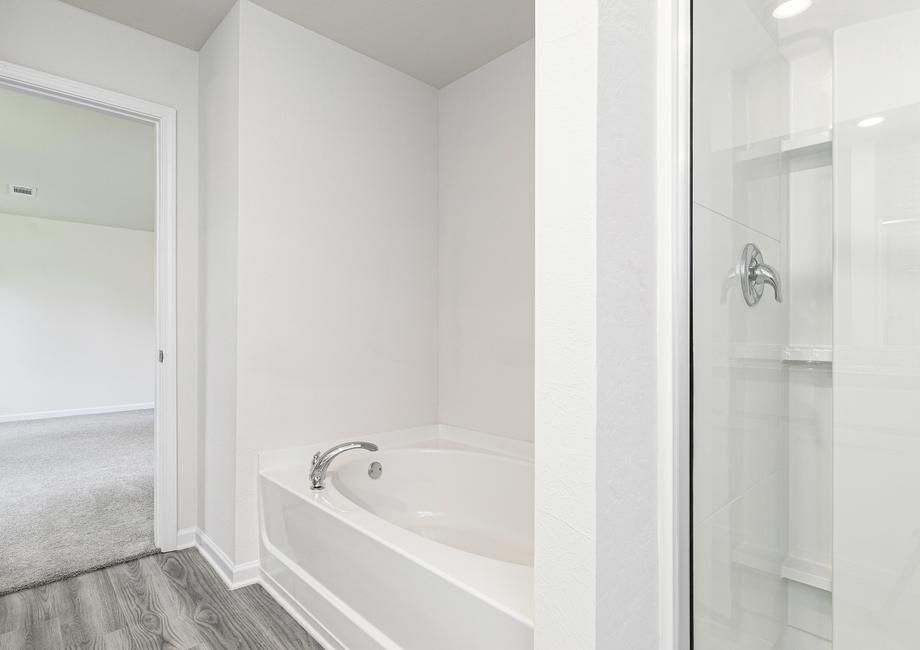 The master bathroom comes with a walk-in shower and a bathtub