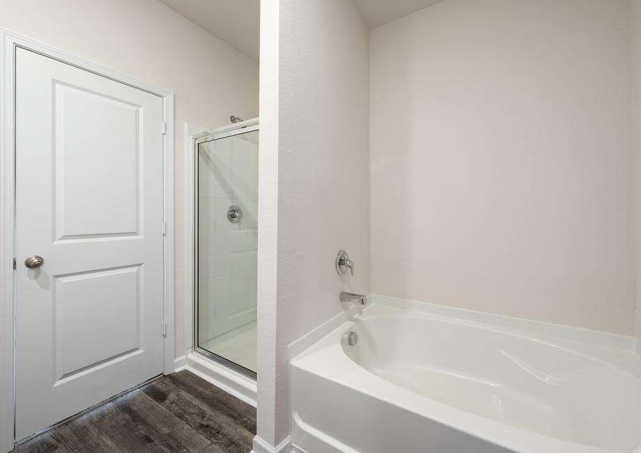 The master bathroom includes both a bath tub and walk-in shower