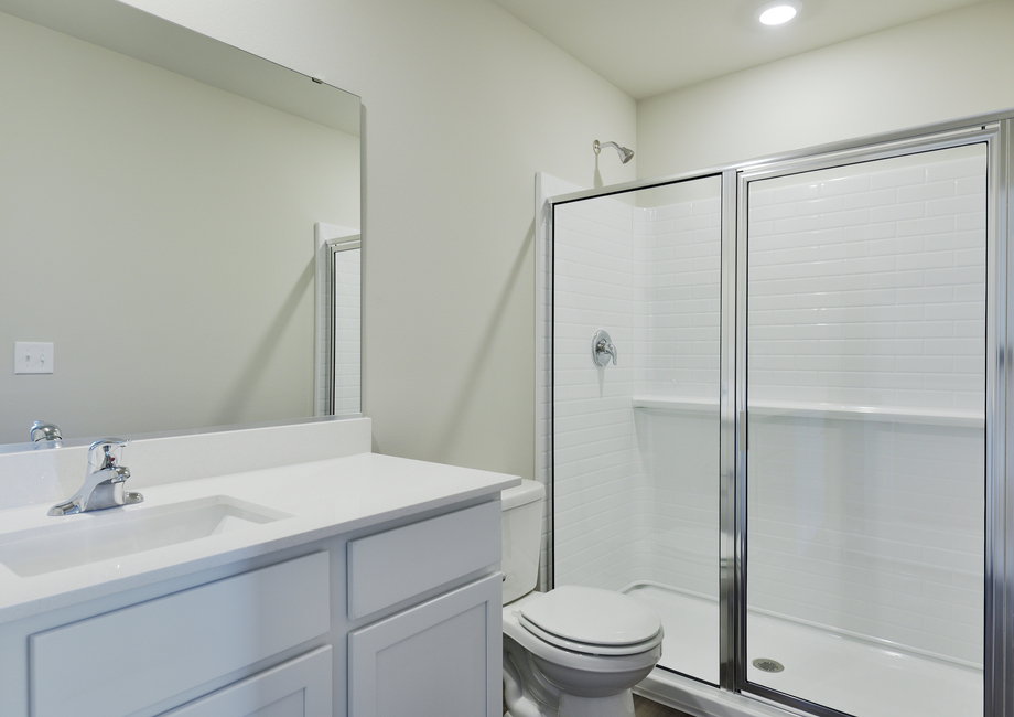 The master bathroom has a step in shower with a large vanity.