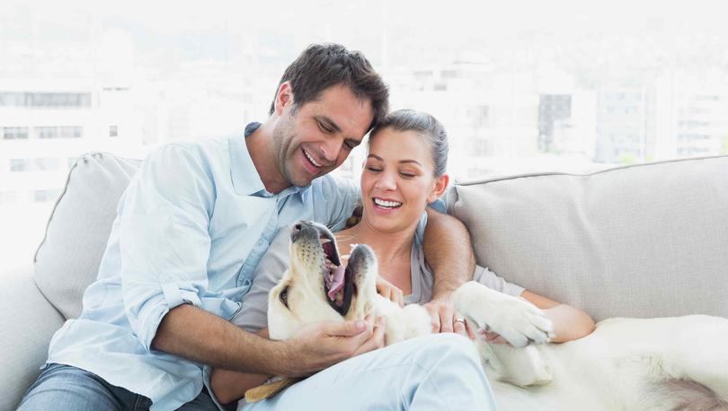 Couple with dog on the couch.