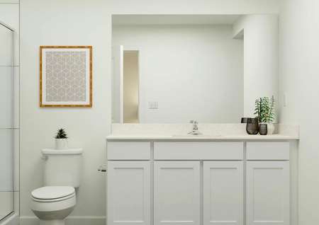 Rendering of a master bathroom showing a
  large single-sink vanity next to a toilet and a large shower.