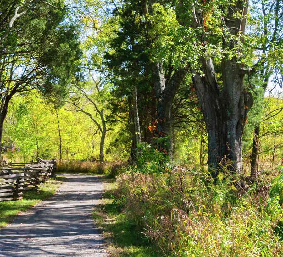 Murfreesboro, Tennessee Stones River National Battlefield walkway with wooden fence, overgrown trees, and grassy fields