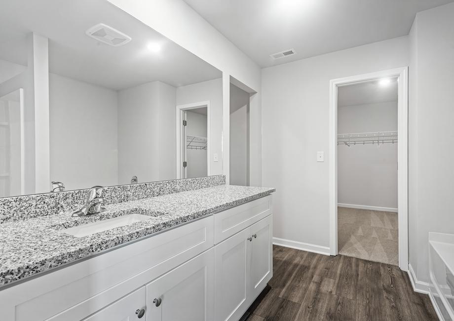The master bathroom has a large vanity and walk in closet.