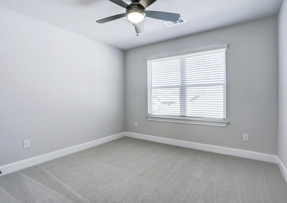 Guest bedroom with soft carpet, large windows, and a ceiling fan.
