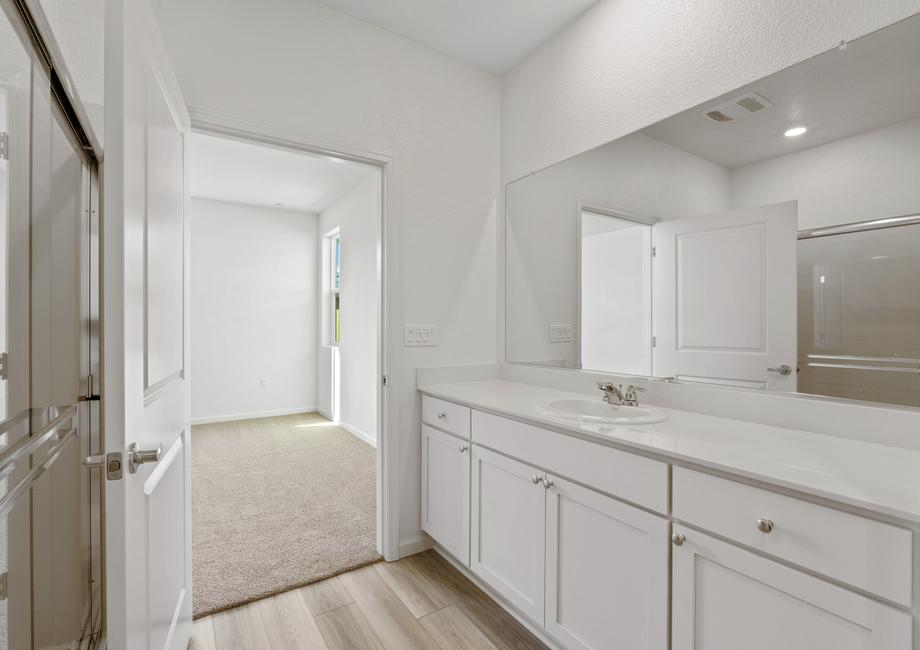 The master bath has a stunning vanity!