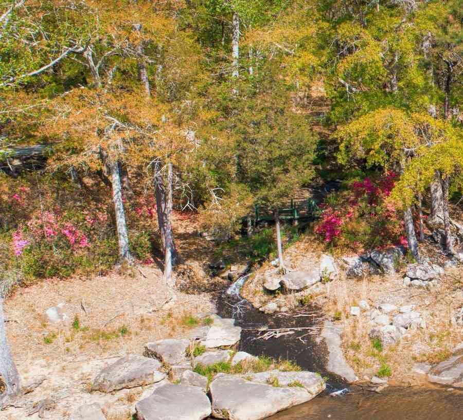 River with rocky bank and wooded area