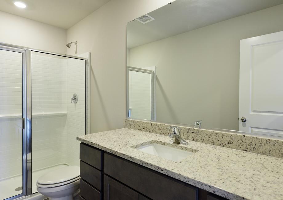 The master bathroom has a step in shower.