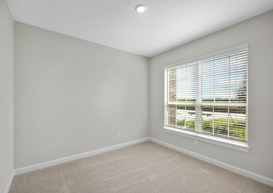 Secondary bedroom with carpet and a large window.