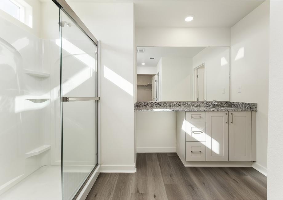 The master bathroom has a large vanity and step in shower. 