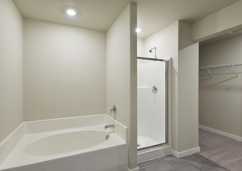 The master bathroom has a soaking tub and step in shower.