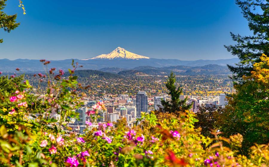 Portland, Oregon skyline showing lush flowering plants, skyscraper buildings, and Mt. Hood in the distance