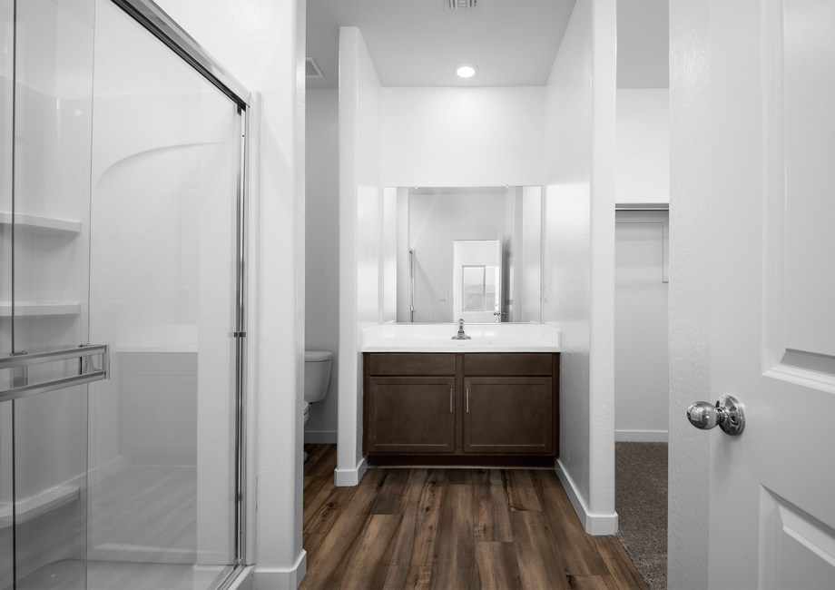 The master bathroom is filled with space for getting ready along with a spacious walk-in closet.