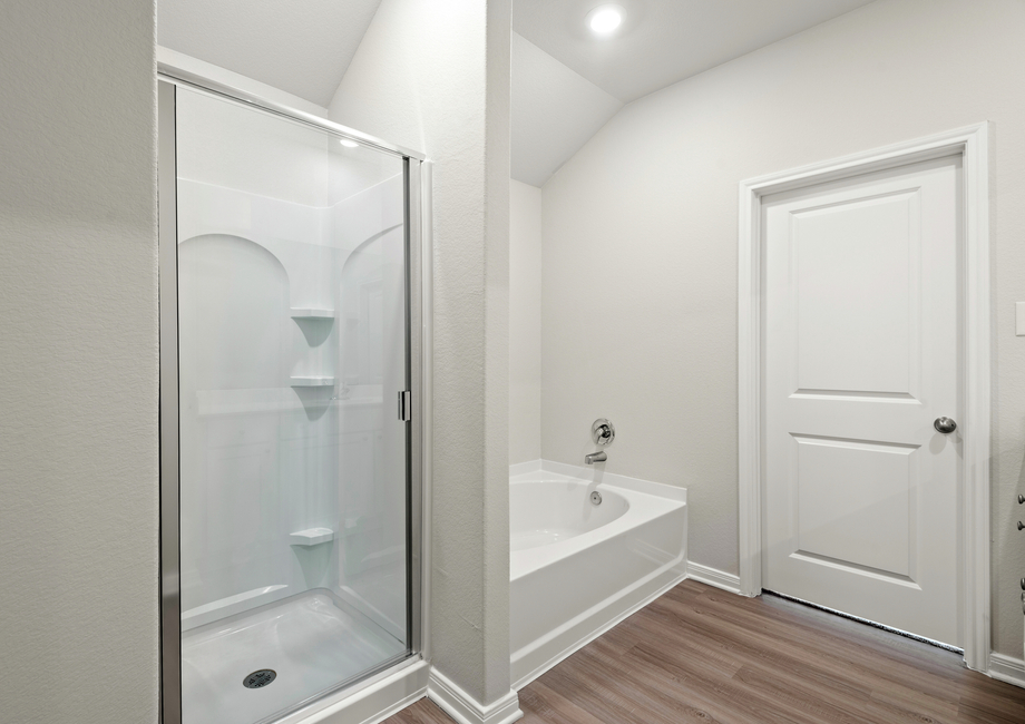 Soaker tub and step-in shower in the master bathroom