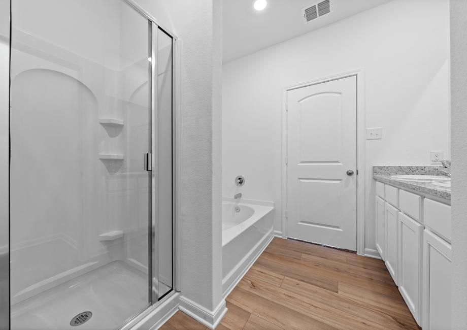 The master bathroom has a step-in shower and tub