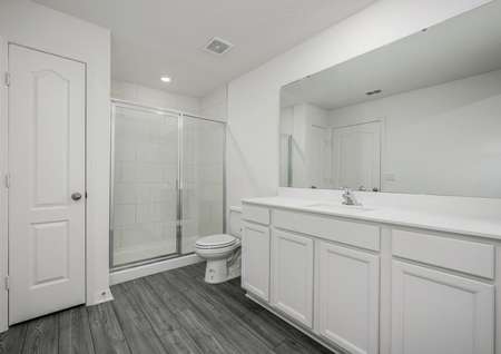 The master bathroom has a spacious vanity