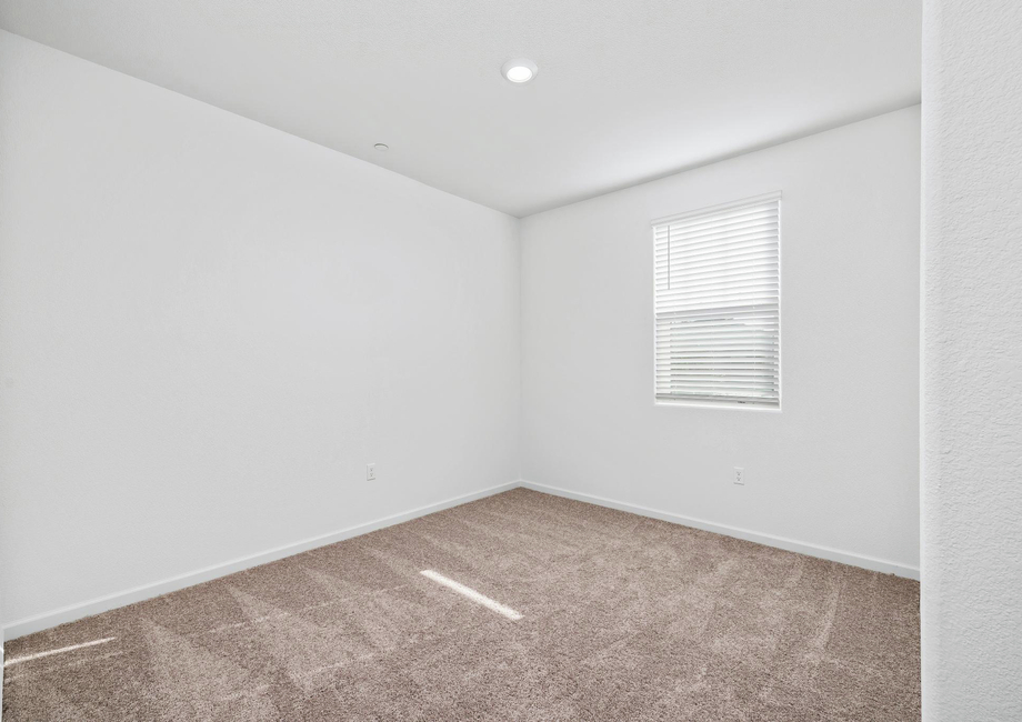 The secondary bedroom has carpet.